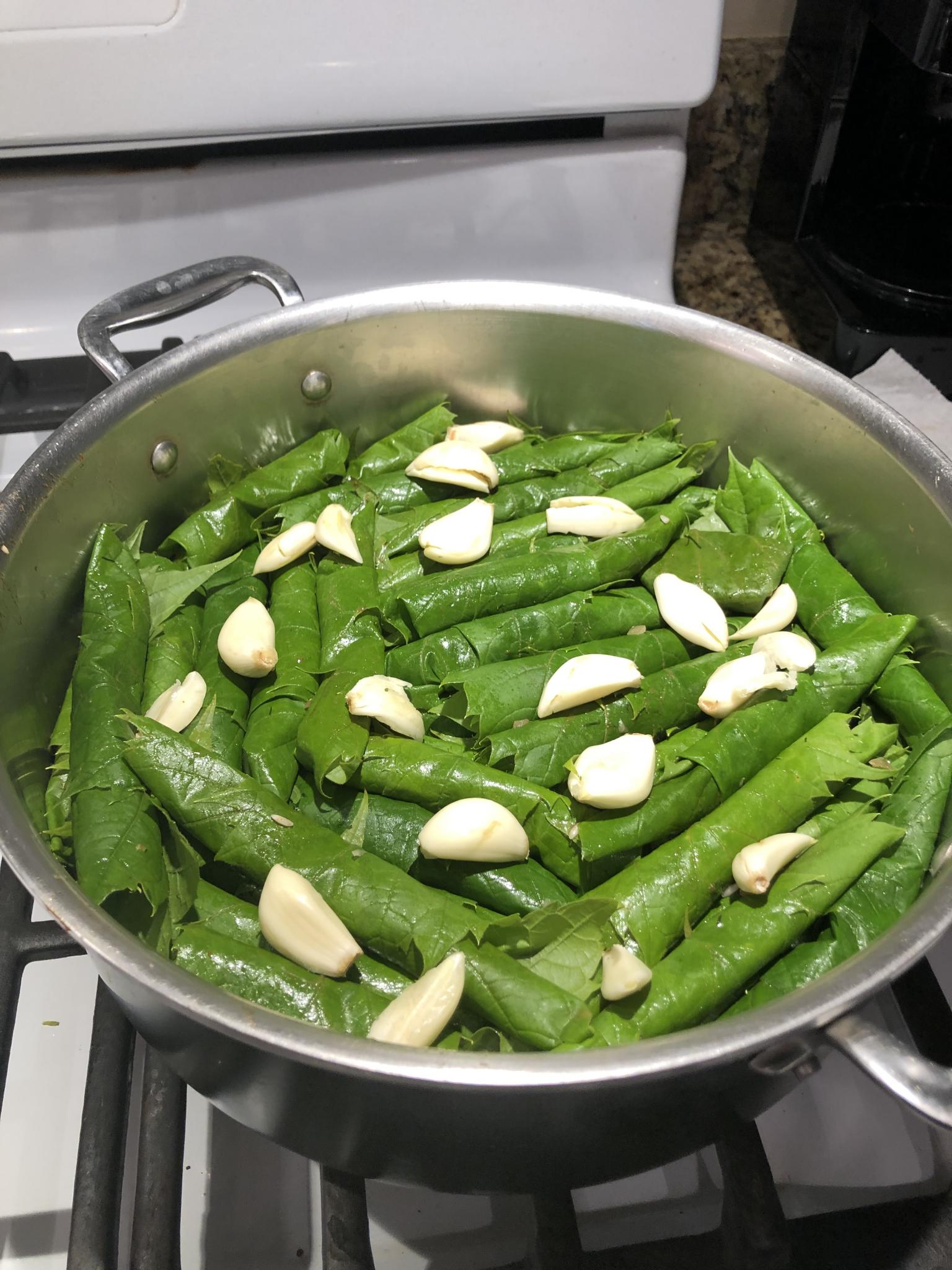 Best Vegetarian Grape Leaves Elissa's Fitness Virtual and InHome