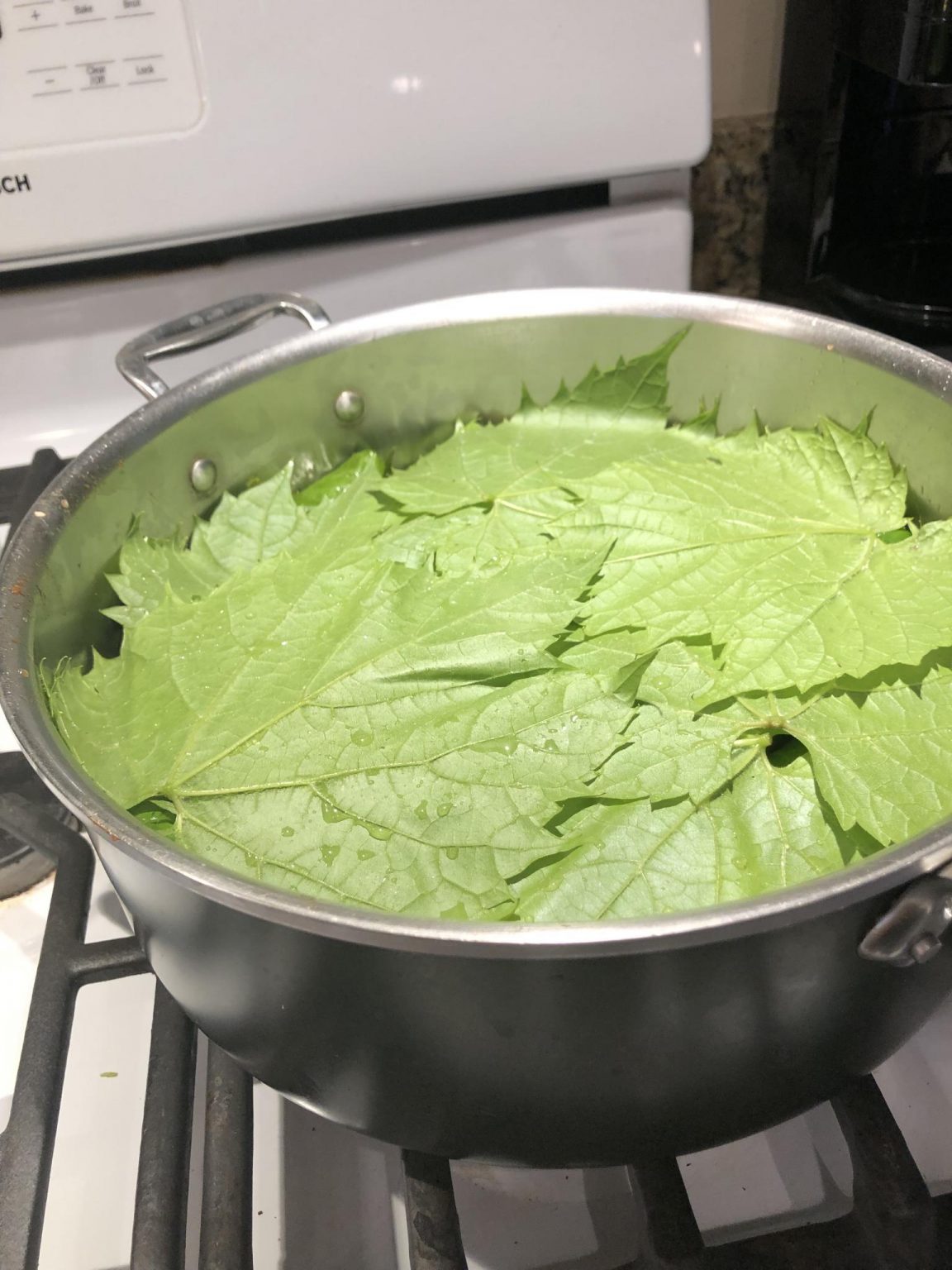 Best Vegetarian Grape Leaves Elissa's Fitness Virtual and InHome