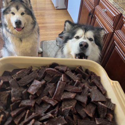 Two dogs looking in awe at a big platter of homemade beef jerky.