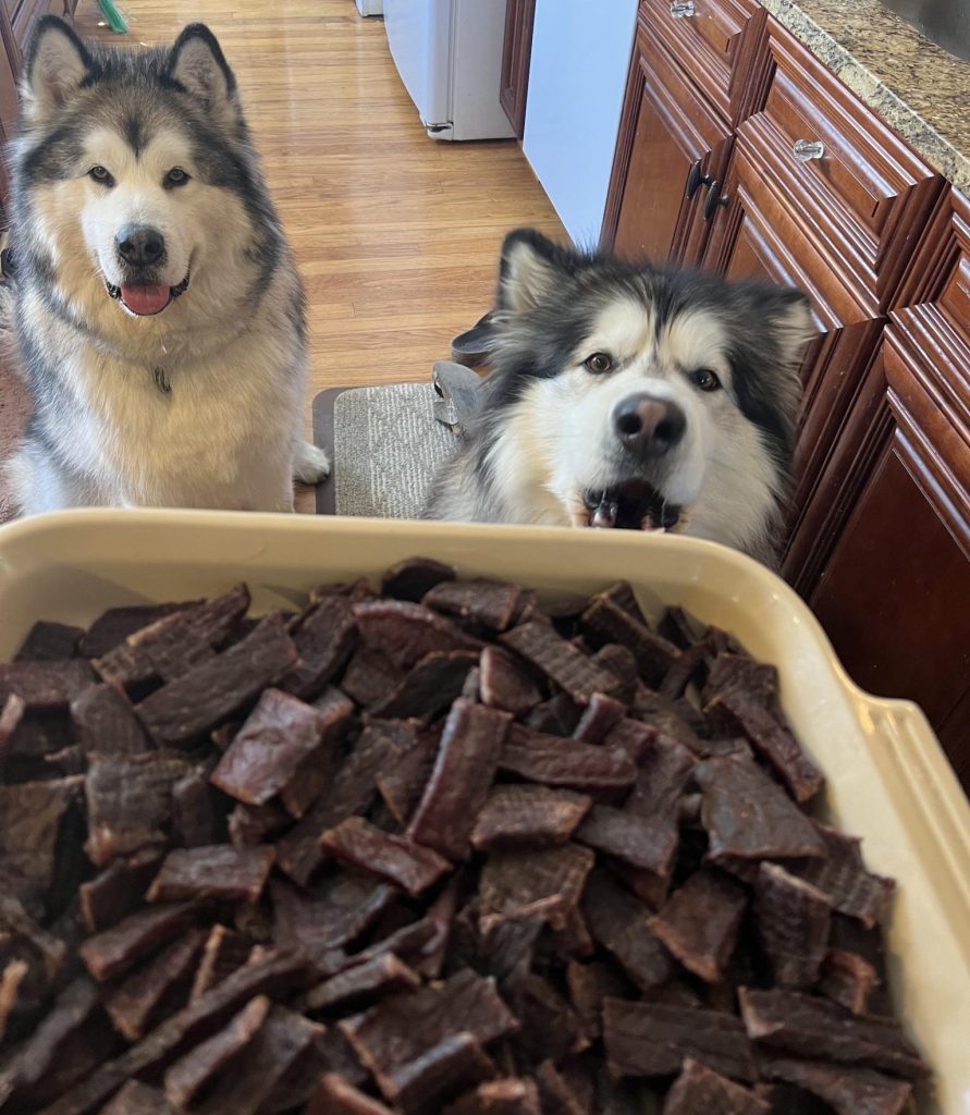 Two dogs looking in awe at a big platter of homemade beef jerky.