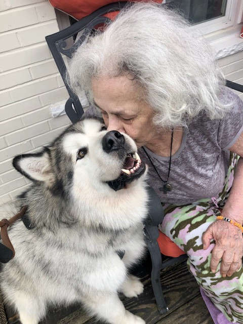 Older woman with gray hair kissing a big happy dog.